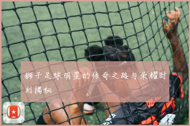 狮子足球明星的传奇之路与荣耀时刻揭秘