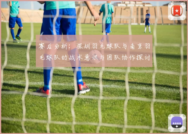 赛后分析：深圳羽毛球队与南京羽毛球队的战术意识与团队协作探讨