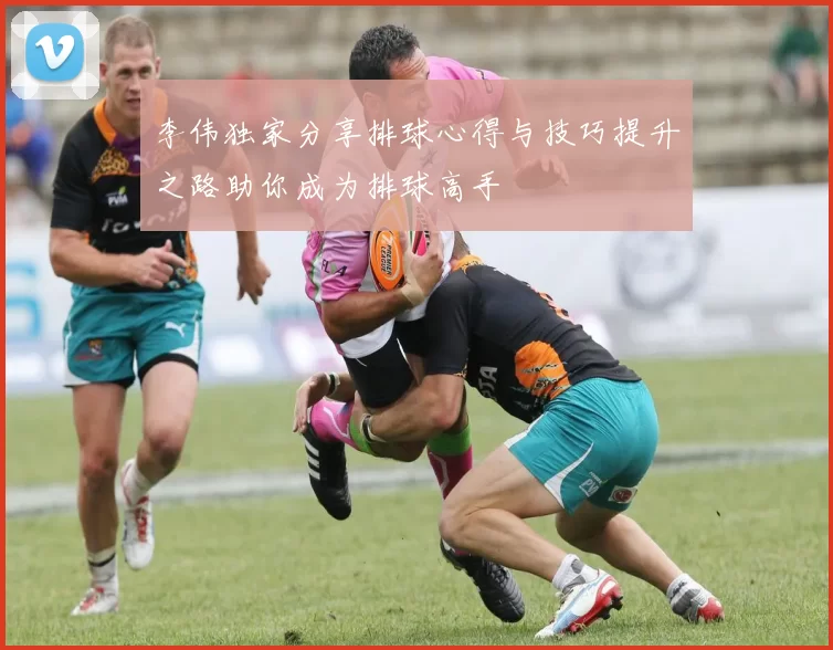 李伟独家分享排球心得与技巧提升之路助你成为排球高手