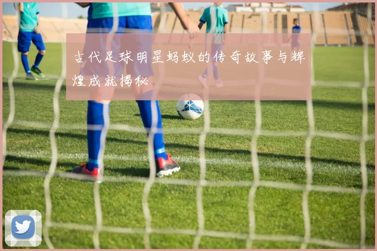 古代足球明星蚂蚁的传奇故事与辉煌成就揭秘