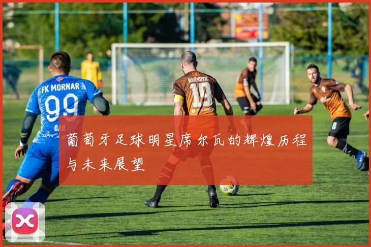 葡萄牙足球明星席尔瓦的辉煌历程与未来展望