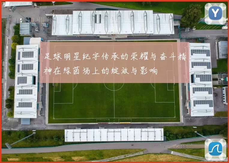 足球明星纪字传承的荣耀与奋斗精神在绿茵场上的绽放与影响