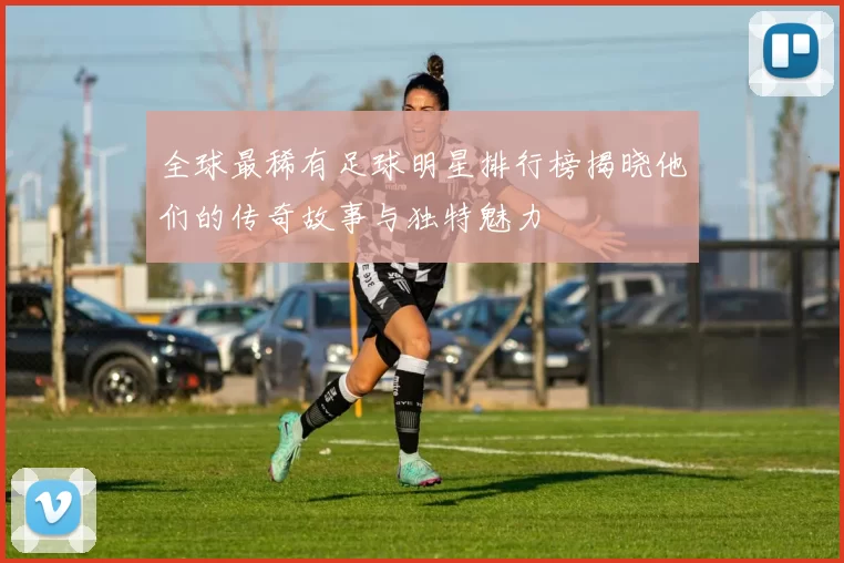 全球最稀有足球明星排行榜揭晓他们的传奇故事与独特魅力