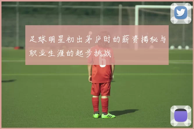 足球明星初出茅庐时的薪资揭秘与职业生涯的起步挑战