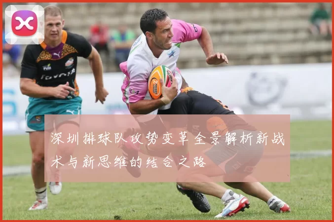 深圳排球队攻势变革全景解析新战术与新思维的结合之路