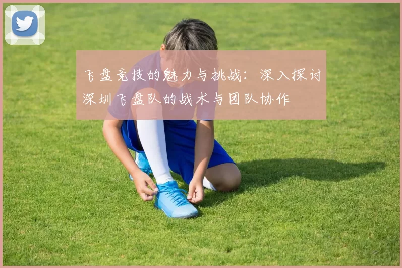 飞盘竞技的魅力与挑战：深入探讨深圳飞盘队的战术与团队协作