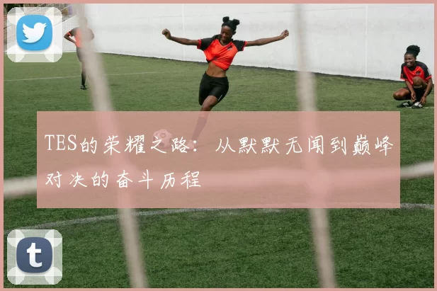 TES的荣耀之路：从默默无闻到巅峰对决的奋斗历程
