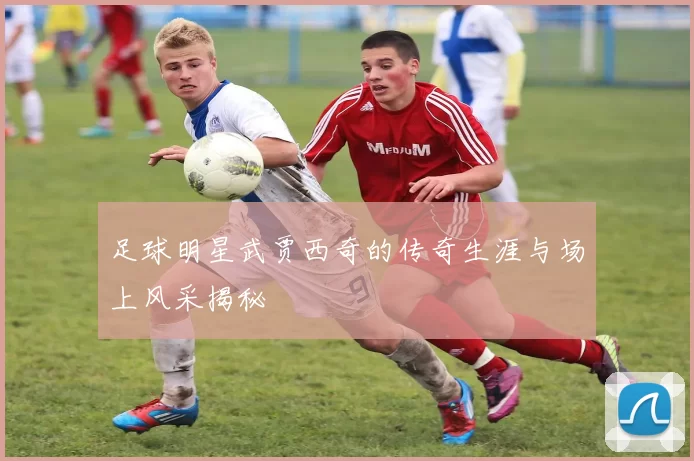 足球明星武贾西奇的传奇生涯与场上风采揭秘