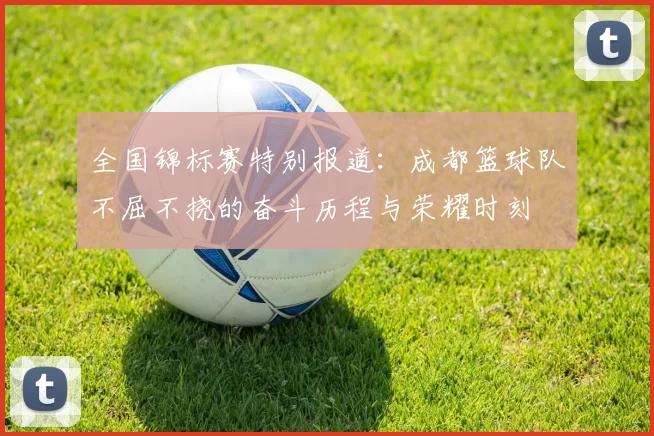 全国锦标赛特别报道：成都篮球队不屈不挠的奋斗历程与荣耀时刻