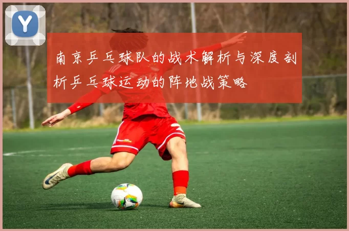 南京乒乓球队的战术解析与深度剖析乒乓球运动的阵地战策略