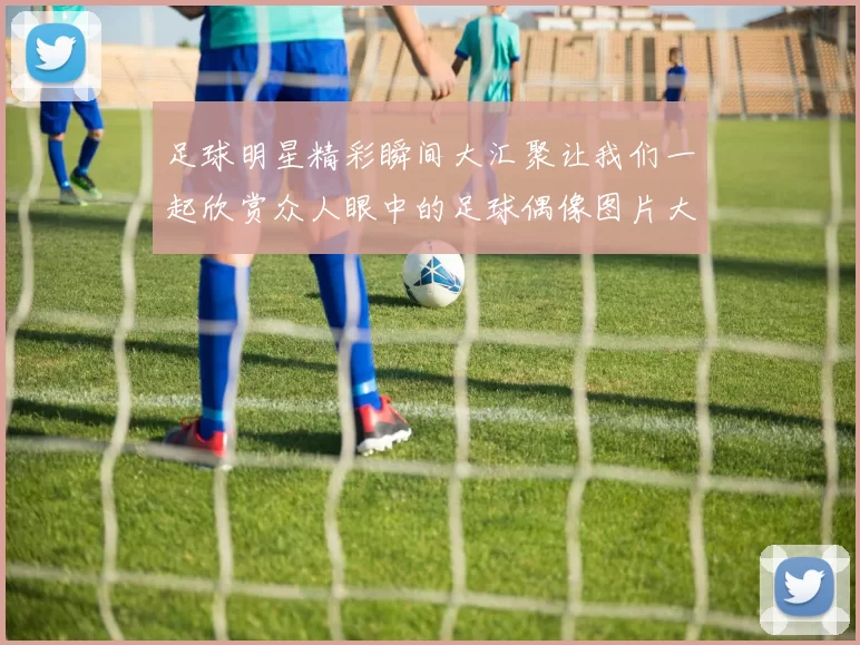 足球明星精彩瞬间大汇聚让我们一起欣赏众人眼中的足球偶像图片大全