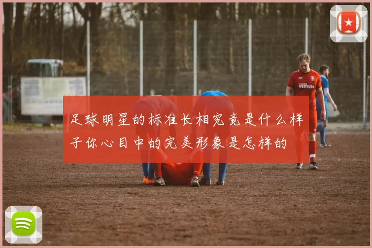 足球明星的标准长相究竟是什么样子你心目中的完美形象是怎样的
