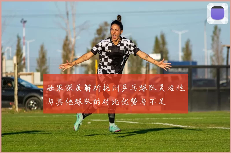 独家深度解析杭州乒乓球队灵活性与其他球队的对比优势与不足