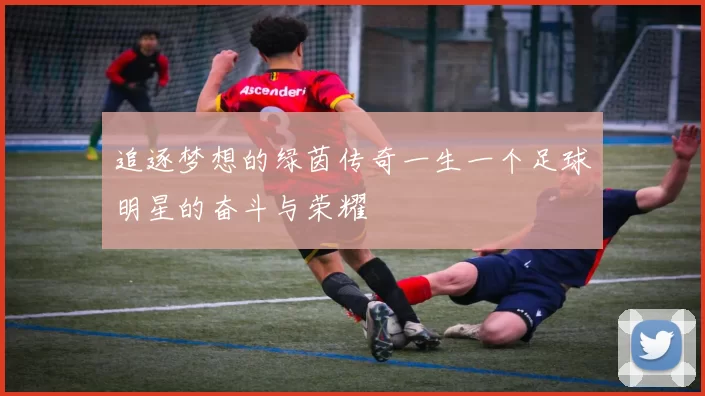 追逐梦想的绿茵传奇一生一个足球明星的奋斗与荣耀