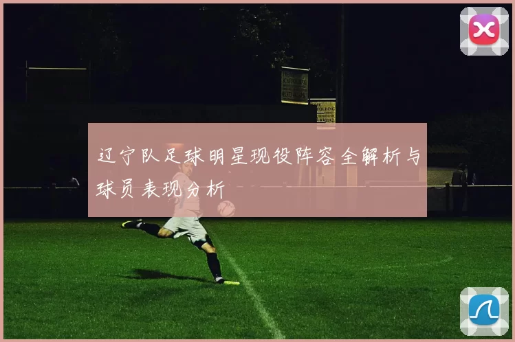 辽宁队足球明星现役阵容全解析与球员表现分析