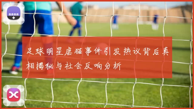 足球明星虐猫事件引发热议背后真相揭秘与社会反响分析