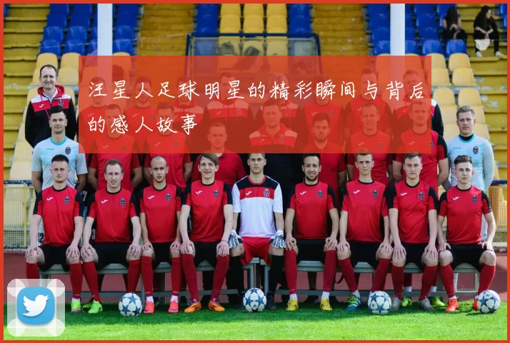 汪星人足球明星的精彩瞬间与背后的感人故事