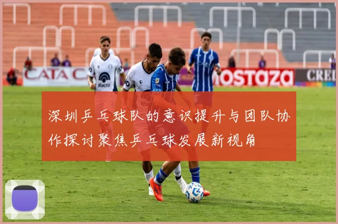 深圳乒乓球队的意识提升与团队协作探讨聚焦乒乓球发展新视角