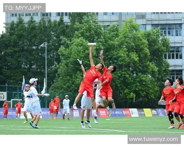 飞盘战术解析：探秘上海飞盘队高效运营与团队协作体系