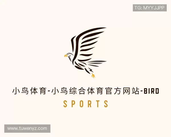 介绍小鸟体育